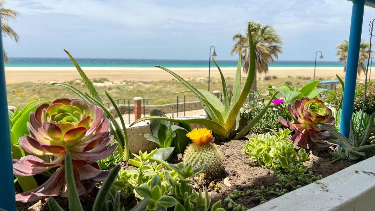 Tarifa Cozy House - Beachfront, Stylish Deco Eksteriør bilde